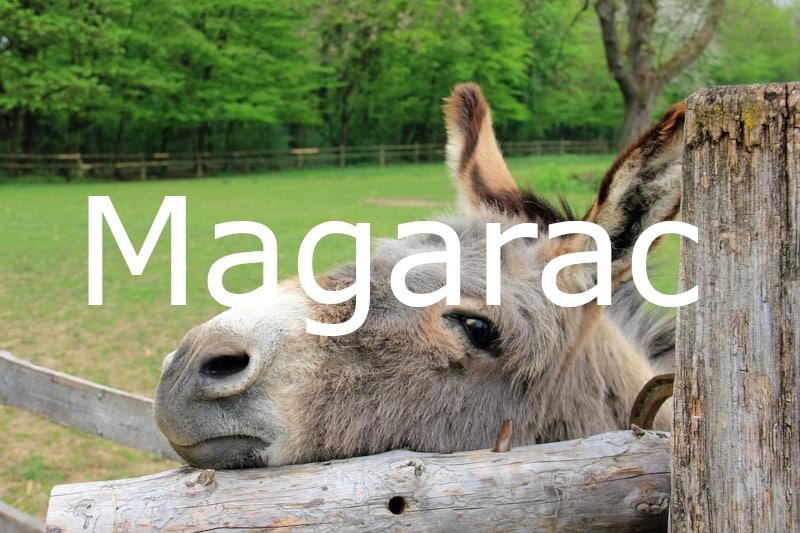 igra magarac